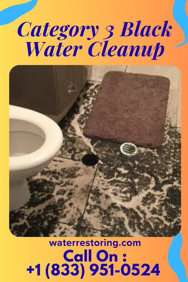 Category 3 Black Water Cleanup in Montezuma, KS